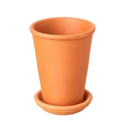 All-in-One New Plant Parent Kit