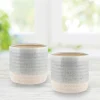 Blue Isle Cachepot Planter, Set of 2