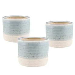 Blue Isle Cachepot Planter, Set of 3