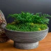Calistoga Planter Bowl