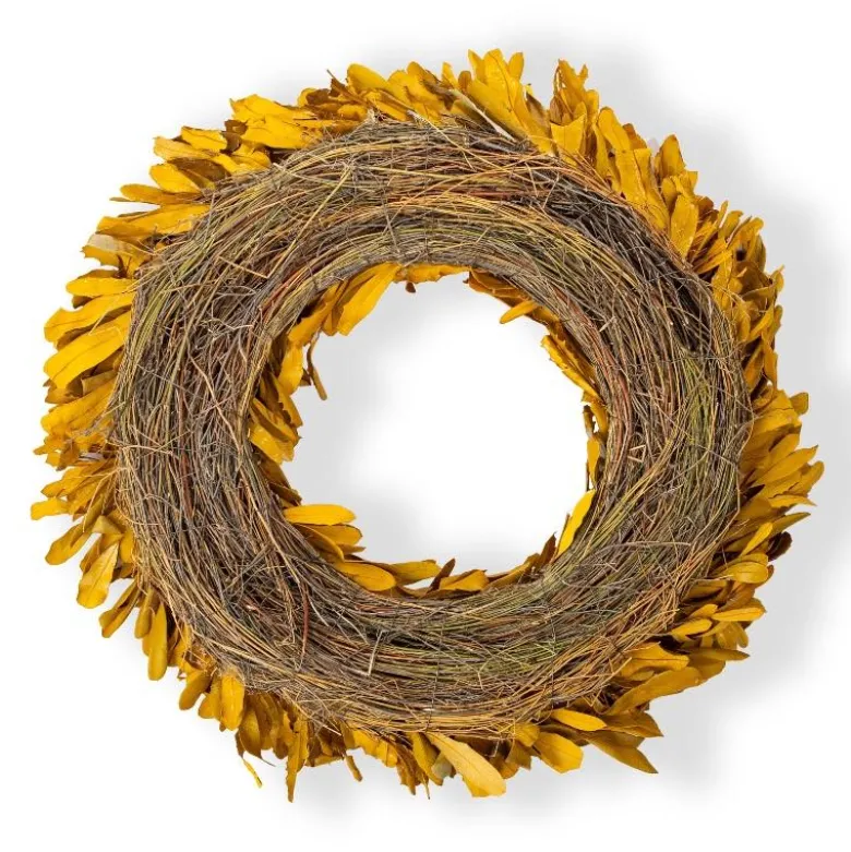 Dried 22" Natural Integrifolia Wreath, Saffron