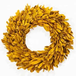 Dried 22