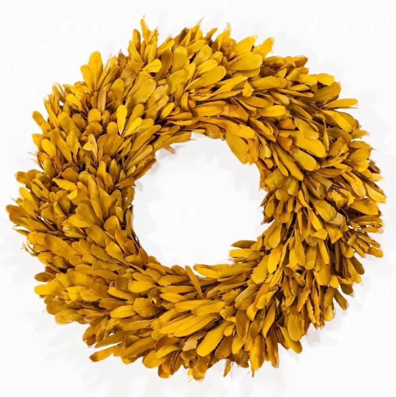 Dried 22" Natural Integrifolia Wreath, Saffron