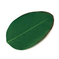 Faux Tropical Heliconia Leaf Placemats, Set of 4