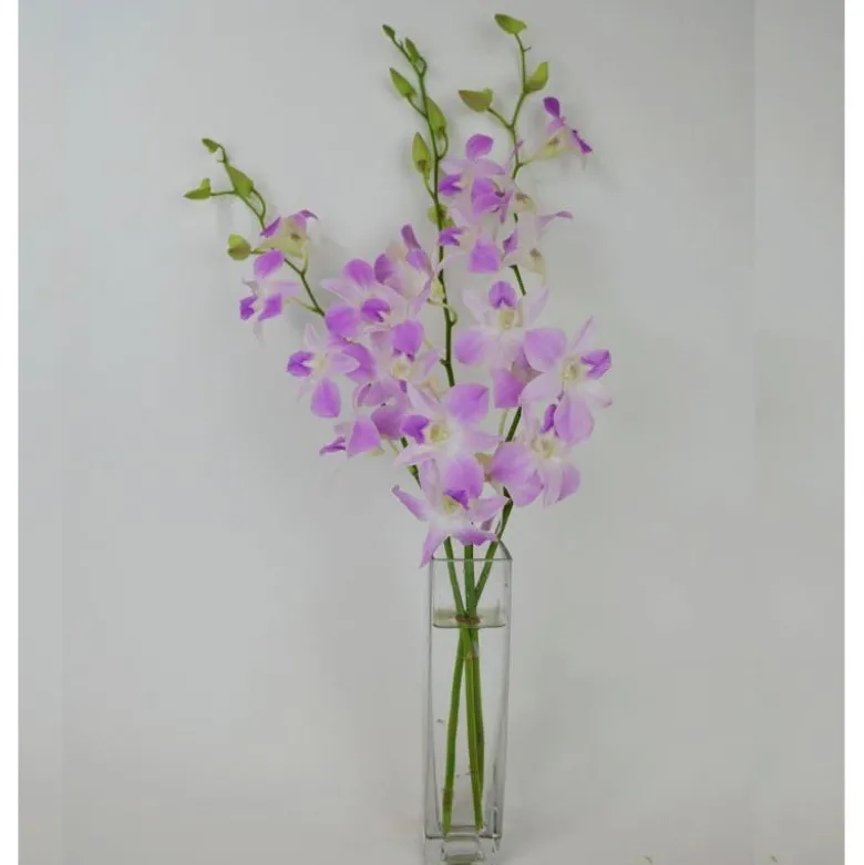 Fresh Cut Small Orchid Bunch in Glass Vase - Pink