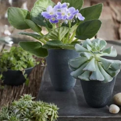 Hasten™ Volcanic Stone Pot Short