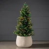 30" Indoor Outdoor Stake Tree with RGBWW and Controller