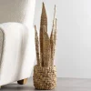 Natural Woven Banana Bark Snake Plant