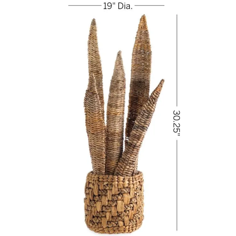 Natural Woven Banana Bark Snake Plant