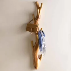 Nature-Inspired Twisted Suar Wood Wall Coat Rack