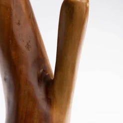 Nature Inspired Twisted Suar Wood Coat Rack