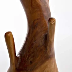 Nature Inspired Twisted Suar Wood Coat Rack