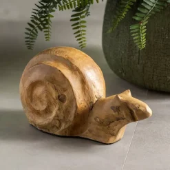 Reclaimed Teak Root Snail