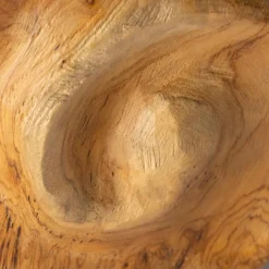 Reclaimed Teak Root Snail