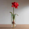 Recycled Glass Bulb Vase