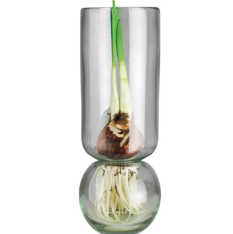 Recycled Glass Bulb Vase