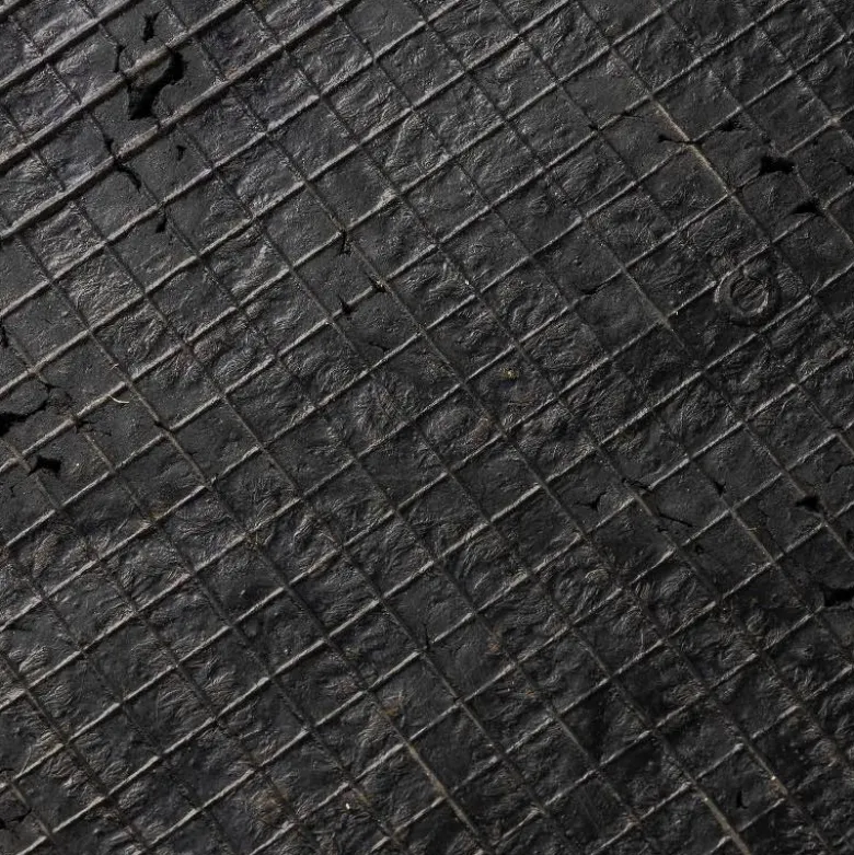 Rubber and Coir Leaf Doormat