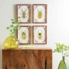Set of 4 Framed Beetles Paintings