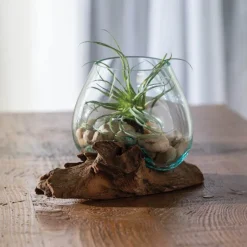 Small Glass Bowl with Teak Wood Stand