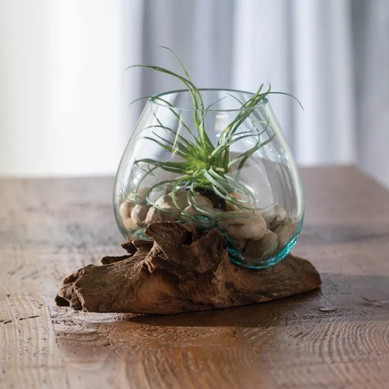 Small Glass Bowl with Teak Wood Stand