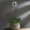 Solar Flower Stake (iridescent)