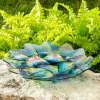 Succulent-Shaped Glass Bird Bath