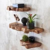 Takara Live-Edge Floating Shelf, Medium