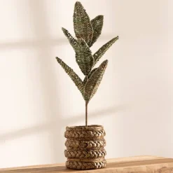 Woven Palm Plant